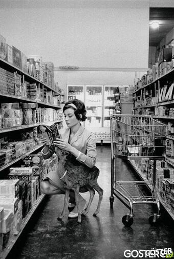 Audrey Hepburn shopping with her pet deer, Ip, in Beverly Hills, CA -1958.