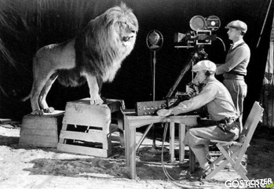 Cameramen recording the lion roar for the MGM logo