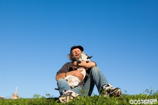 Lifelines-Homeless-and-Pets-10-934x