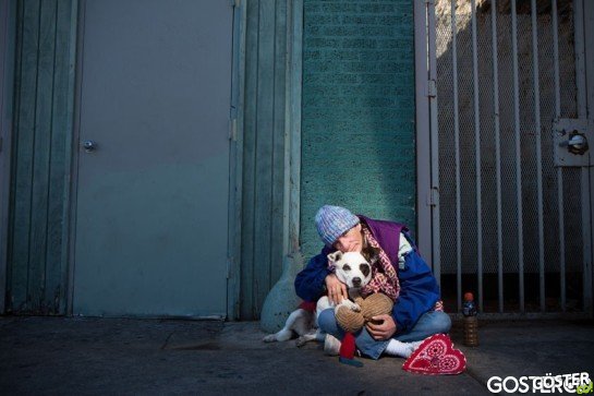 Lifelines-Homeless-and-Pets-11-934x