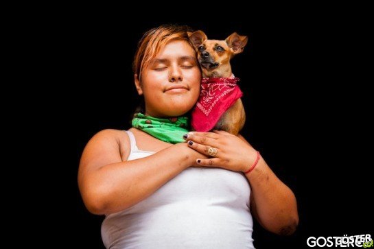Lifelines-Homeless-and-Pets-15-934x