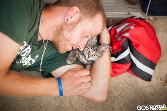 Lifelines-Homeless-and-Pets-18-934x