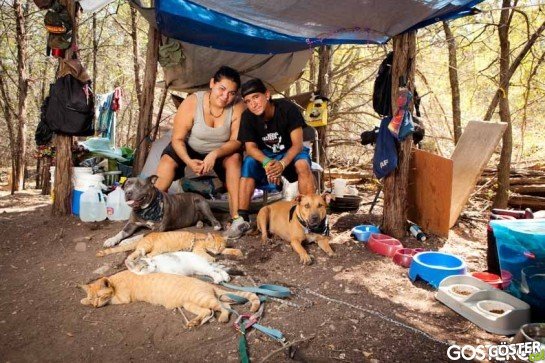 Lifelines-Homeless-and-Pets-3-934x