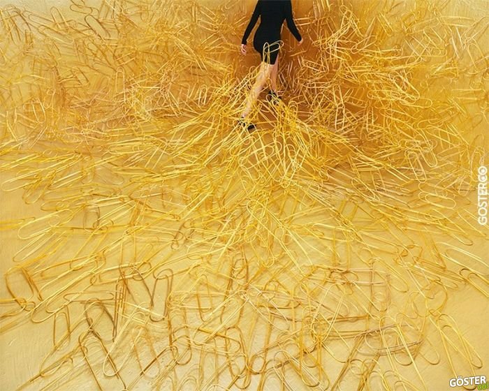 JeeYoung Lee (1)