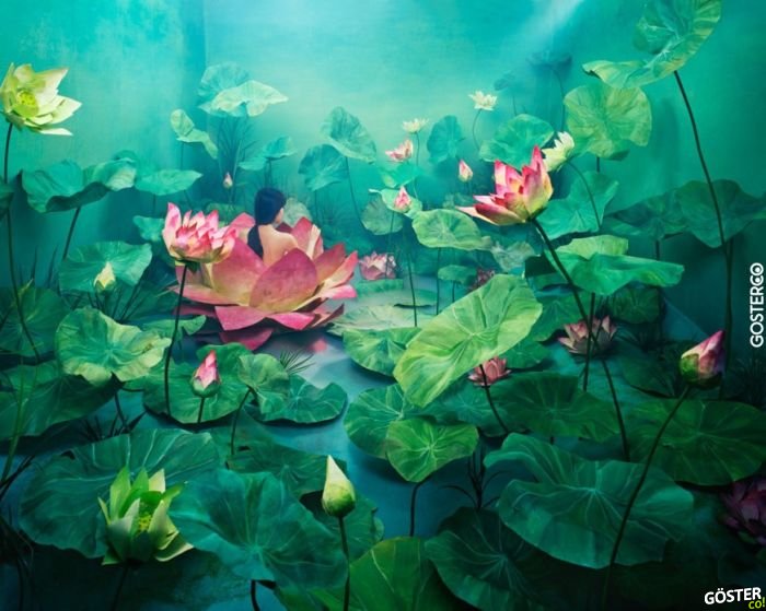 JeeYoung Lee (2)