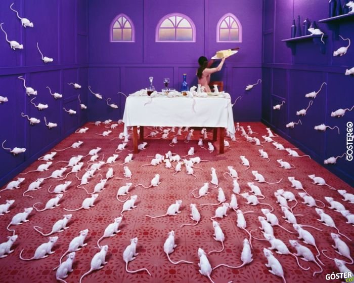 JeeYoung Lee (3)