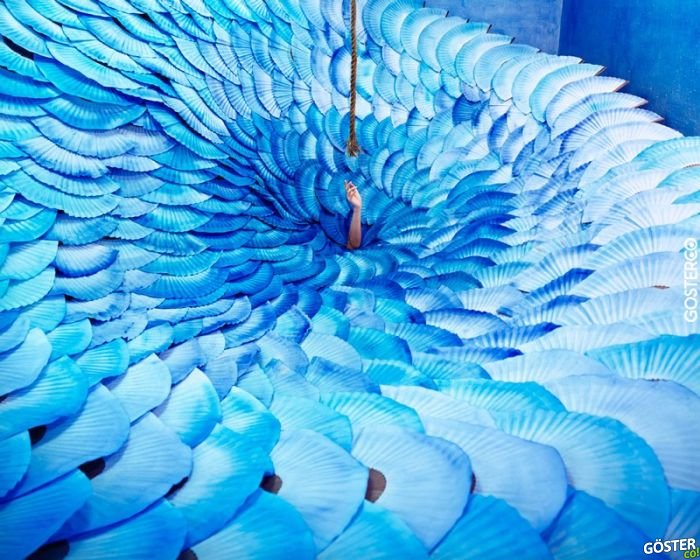 JeeYoung Lee (5)