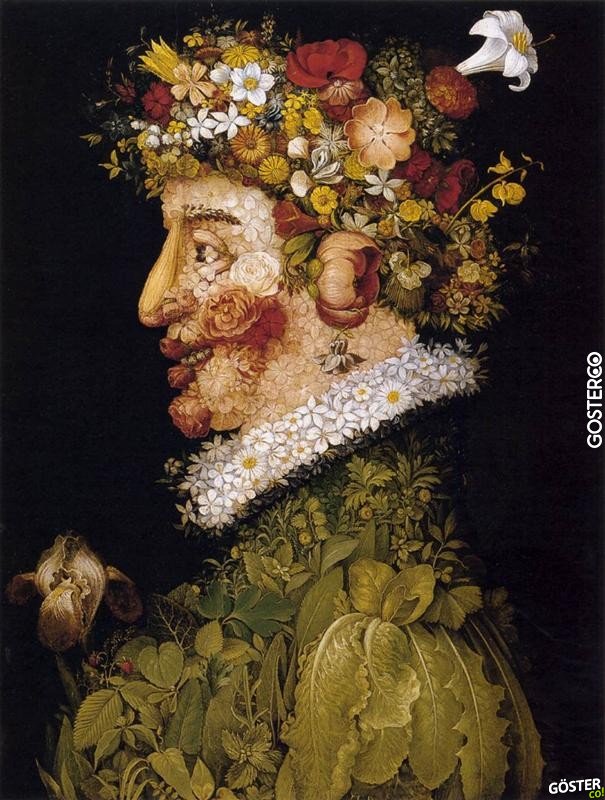 giuseppe arcimboldo (22)