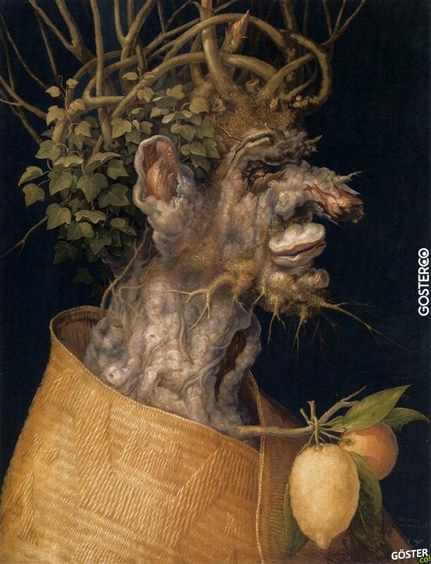 giuseppe arcimboldo (9)