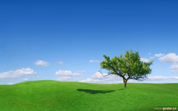 Free-Beautiful-Landscape-Desktop-Wallpaper-06-2010-98-1800x2880