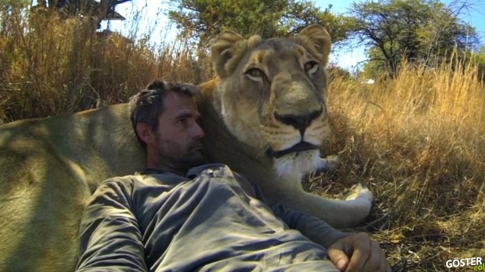Aslanlarla Yakın İlişkisi Olan Kevin Richardson