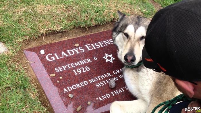 Sahibinin Mezarı Başında Ağlayan Köpek