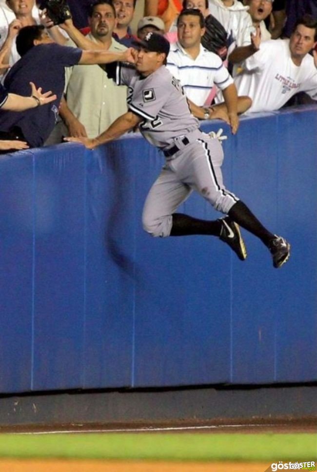 28f74d19b146e84385707898728a5141_650x