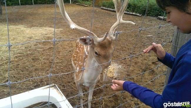 636535ff175ad3a2c5d4b511c7813e07_650x