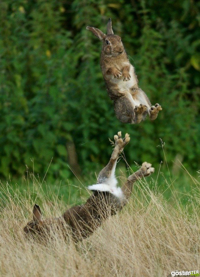 87efe13a12343a03b6aeb34a3590f00a_650x