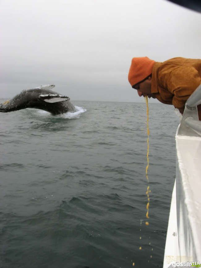 bf1559f9a26b8adfd0c3cefdb17ad99b_650x