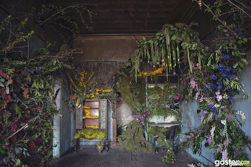 abandoned-flower-garden-house-building-detroit-lisa-waud-12