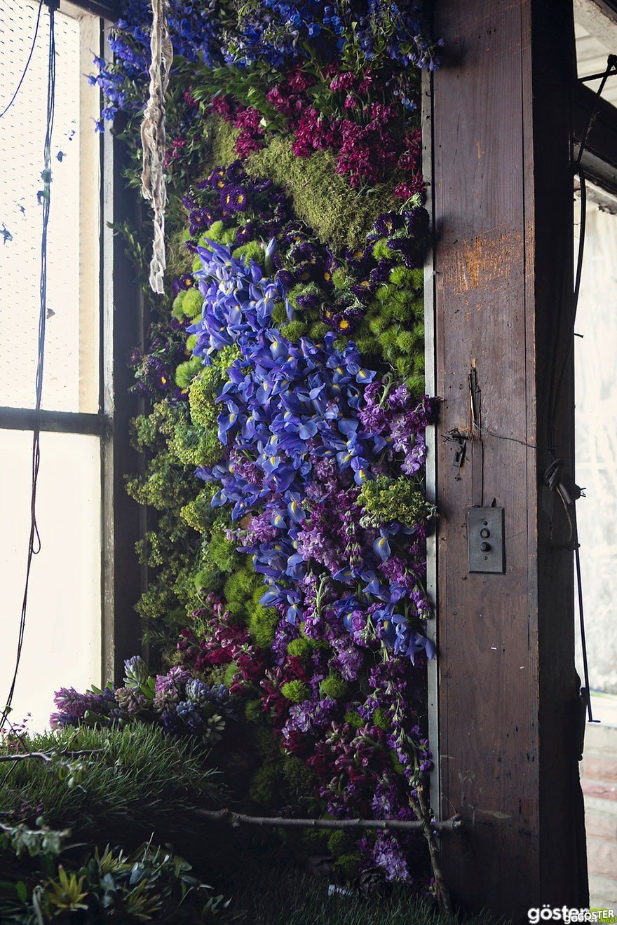 abandoned-flower-garden-house-building-detroit-lisa-waud-2