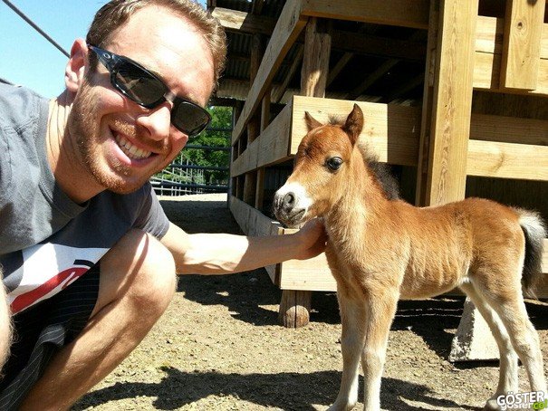 tiny-horses-26__605