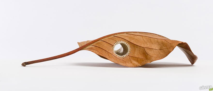 crocheted-leaf-art-susanna-bauer-1