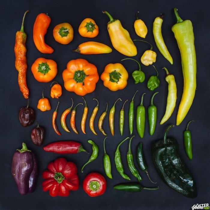 everyday-objects-arrangements-emily-blincoe-14