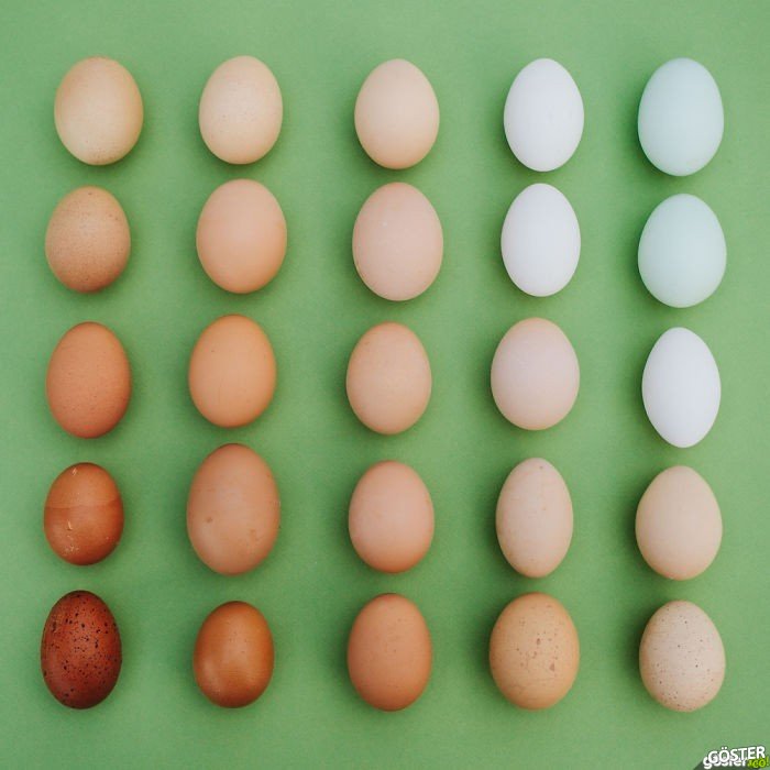 everyday-objects-arrangements-emily-blincoe-15