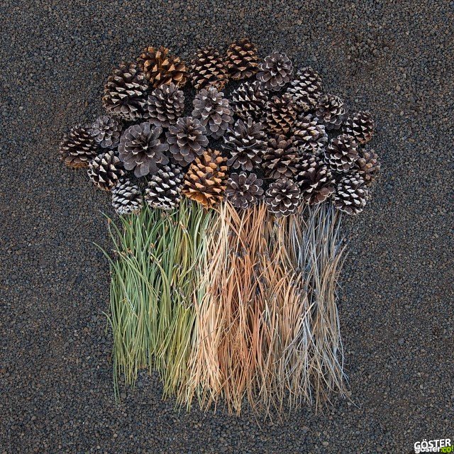 everyday-objects-arrangements-emily-blincoe-17