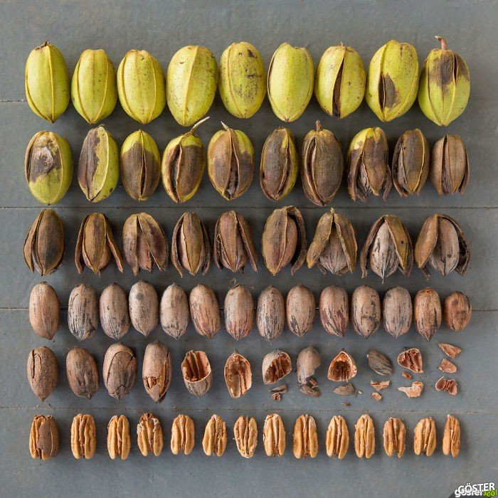everyday-objects-arrangements-emily-blincoe-5