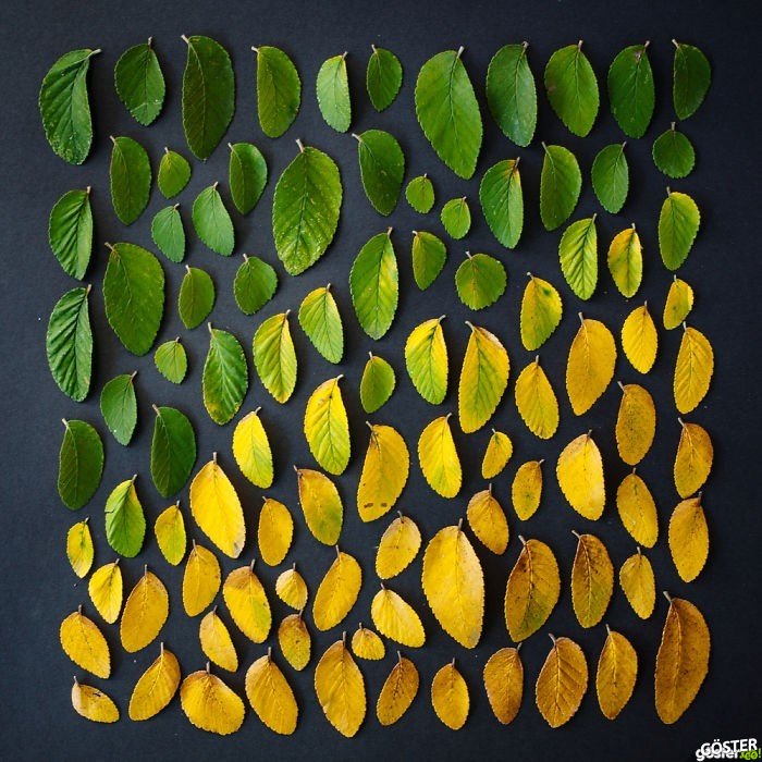 everyday-objects-arrangements-emily-blincoe-6