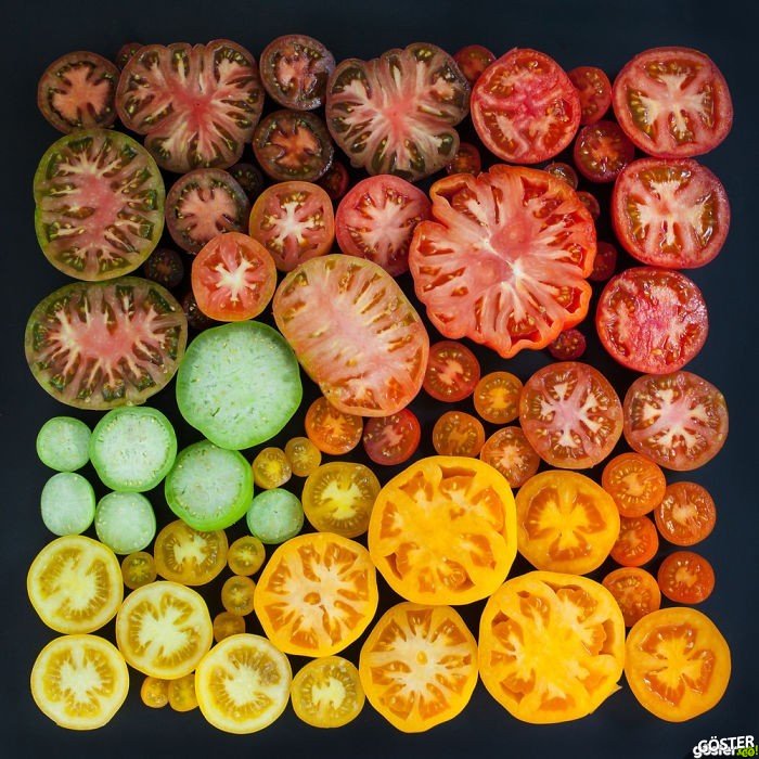 everyday-objects-arrangements-emily-blincoe-7