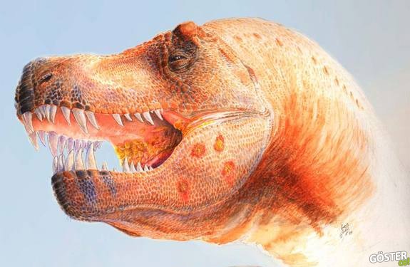 Yeni Bir Yaklaşım: Dinozorların Soyu Tükendi, Peki ama Neden Gelmiştiler ki?