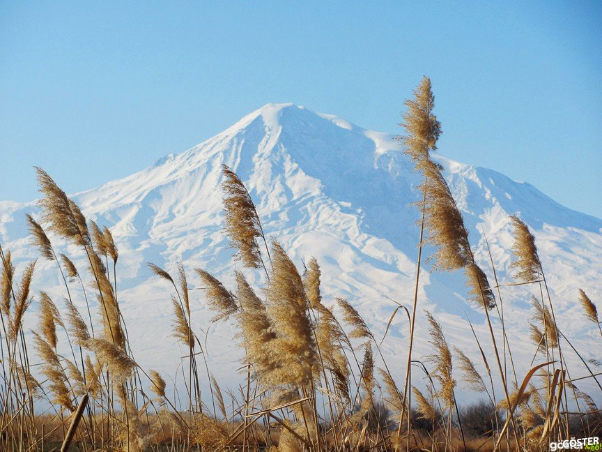 mt-ararat