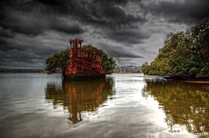 102-year-old ship is a floating forest