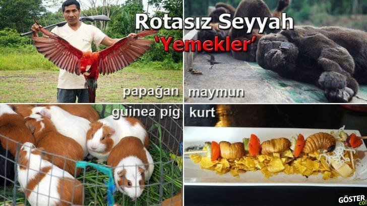 Dünyayı Gezerken Maymun, Kaplumbağa Yumurtası Gibi Her Gördüğünü Yiyen Türk Gezgin