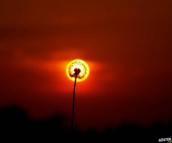 Correct timed photos