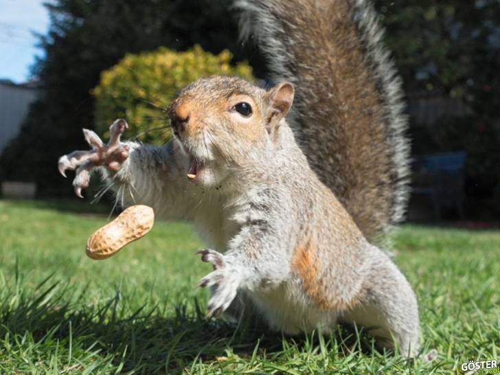Correct timed photos Correct timed photos