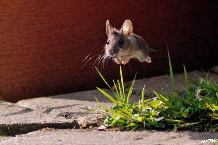 Correct timed photos Correct timed photos