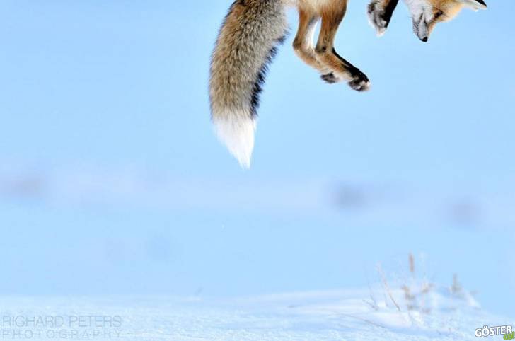 Correct timed photos