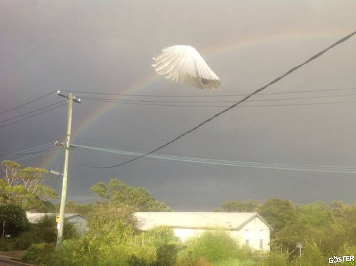 Correct timed photos Correct timed photos