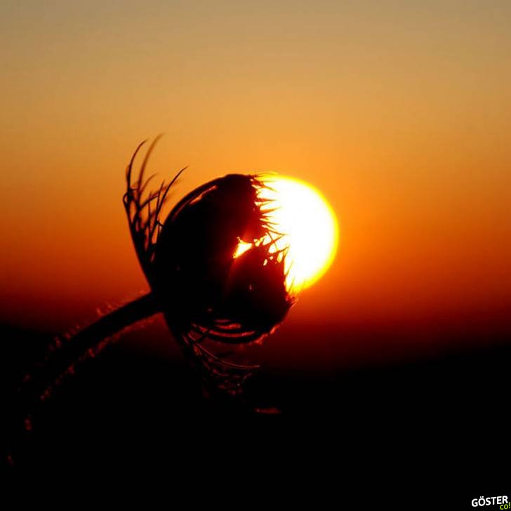 Correct timed photos