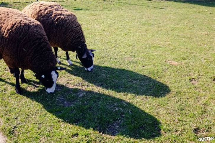 Correct timed photos Correct timed photos