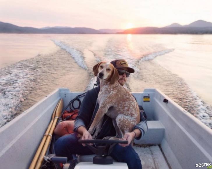 16045910-R3L8T8D-900-dog-traveling-car-motorcycle-maddie-on-road-14