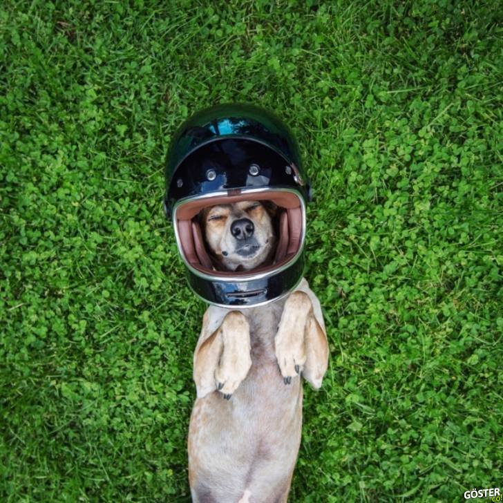 16046210-R3L8T8D-900-tumblr_nnn06dY0UT1r9164to1_1280