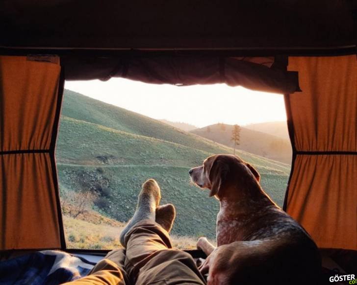Fotoğrafçı Sahibinin Seyahatlerine Eşlik Eden, Şanslı Köpek Maddie’nin 20 Fotoğrafı