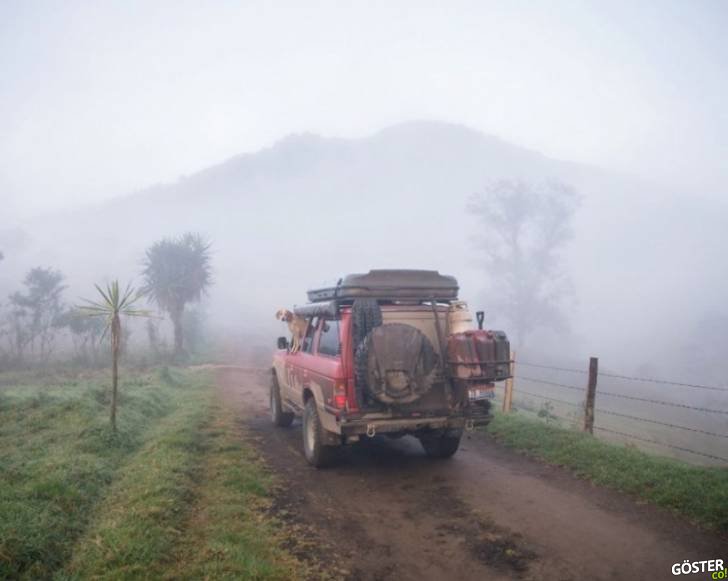 16047660-R3L8T8D-900-dog-traveling-car-motorcycle-maddie-on-road-16