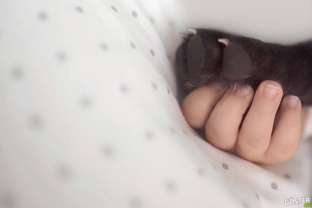 babyandbulldog6
