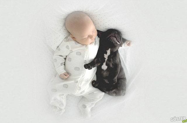 babyandbulldog7