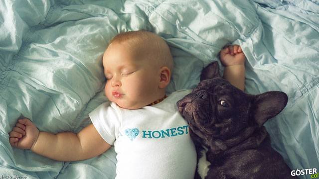 babyandbulldog8