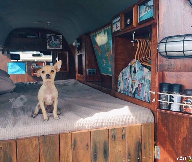 @vanlifers