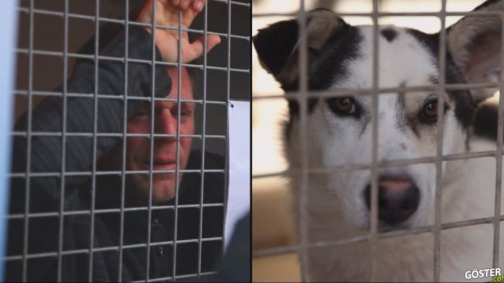 87 Saat Boyunca Köpek Gibi Kafese Kapatıldıktan Sonra 200 Hayvanı Sahiplendi